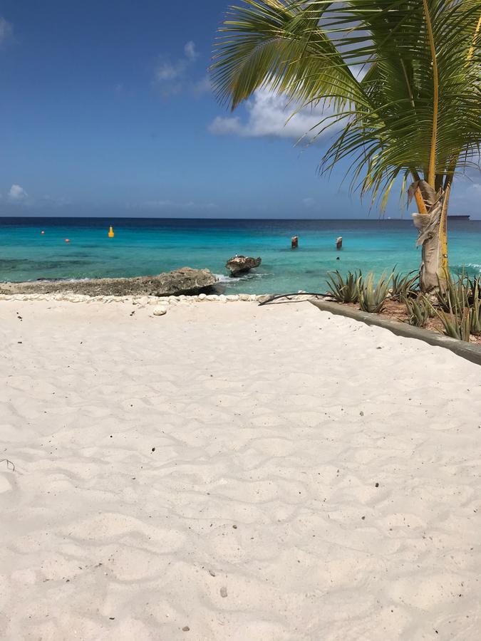 Bonaire Boutique Resort Кралендейк Экстерьер фото